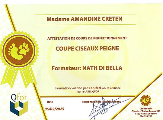 Certificat Coupe aux Ciseaux - Canifed, février 2025