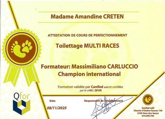 Attestation Toilettage Multi Races, formateur Massimiliano Carluccio - Canifed / Label QFOR, novembre 2025