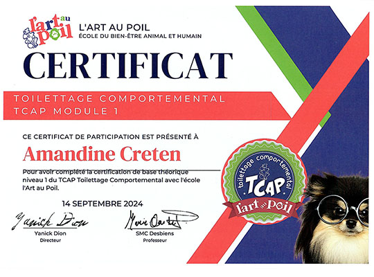Certificat TCAP Niveau 1, Toilettage Comportemental - L'Art au Poil, septembre 2024