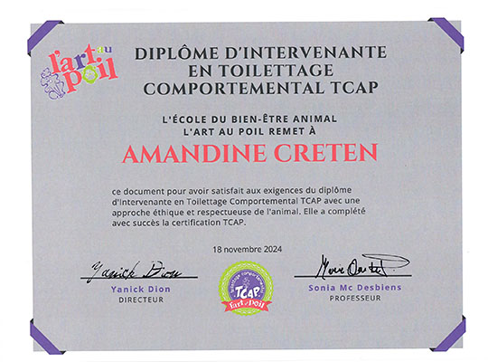 Diplôme TCAP, Toilettage Comportemental - L'Art au Poil, novembre 2024